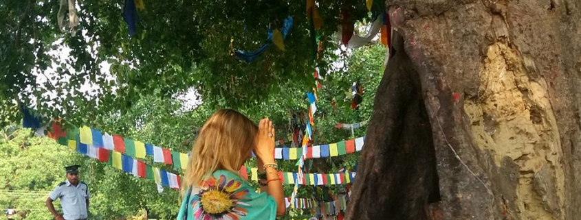 Julie Jewels Bertrand Lumbini Nepal Birtthplace of Buddha meditate tree
