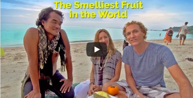 Julie Jewels Bertrand of Shine Your Light, Kom Thongtan of Green Leaf Cafe, Jim Kellett from Living Overseas.TV eating Durian Fruit, the smelliest Fruit in the world on Zen Beach in Koh Phangan, Thailand.